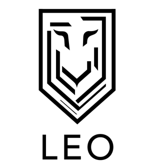 LEO Developments