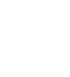 LEO Developments
